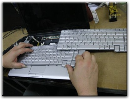 Ремонт клавиатуры на ноутбуке Toshiba в Тюмени